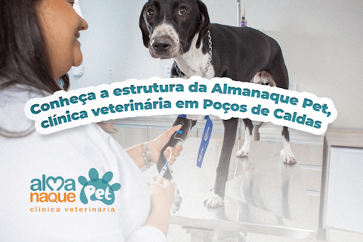 clínica veterinária em Poços de Caldas