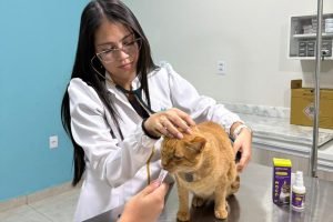 Consulta veterinária de rotina