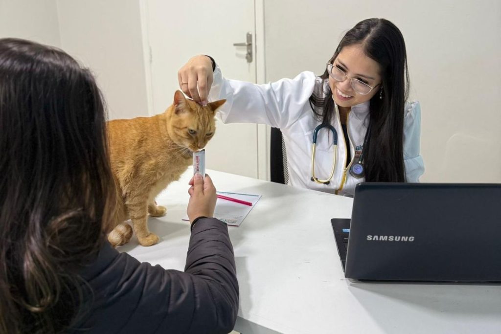 check-up veterinário