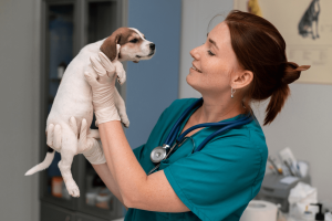 Primeira consulta veterinária após adoção: o que esperar e por que ela é tão importante