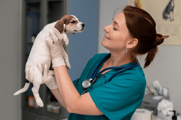 Primeira consulta veterinária após adoção: o que esperar e por que ela é tão importante